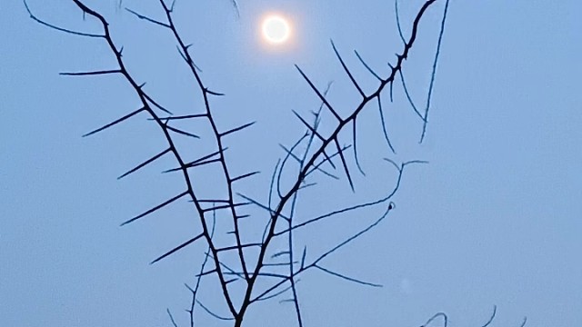 痛都是咎由自取的，明明有那么多瞬间我都能喊停