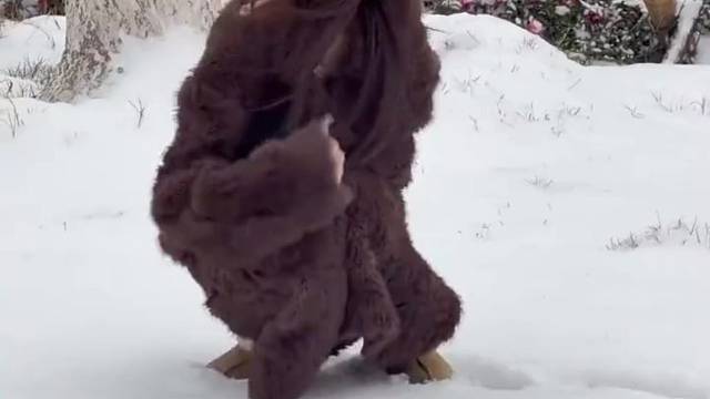 到时候又怪月子没做好了