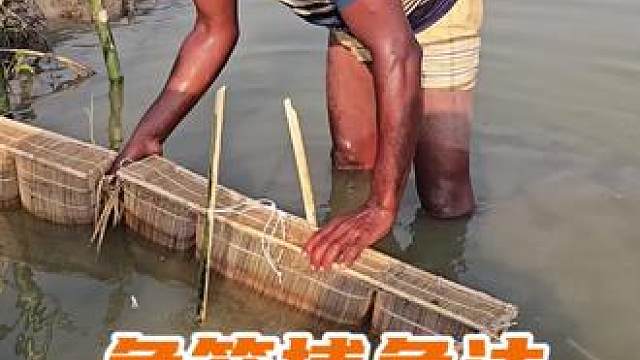 孟加拉渔民使用传统的鱼笼捕鱼，一笼就收获满满