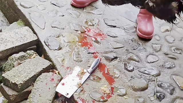 1. 黔东南农家蹭饭！一锅柴火炖鸡香到邻居来敲门2. 社恐慎入！在贵州老乡家蹭到的铁锅炖鸡