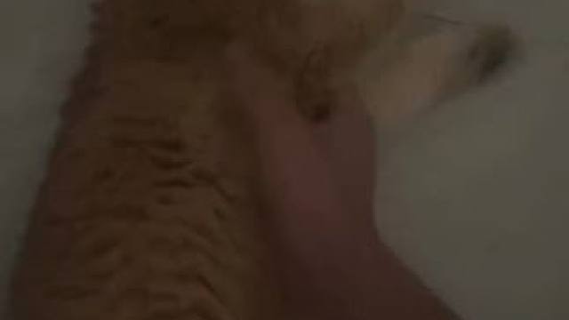 少爷冒个泡