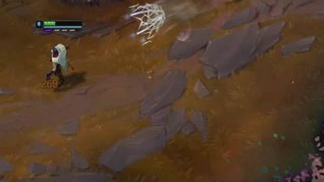 我已经给过你机会了