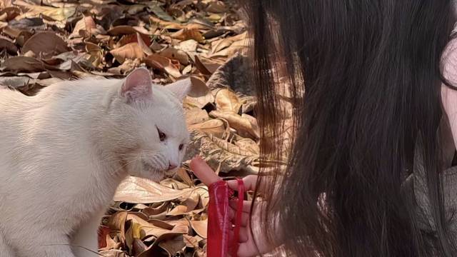 喜欢这段旋律 所以配了照片 嘿嘿～