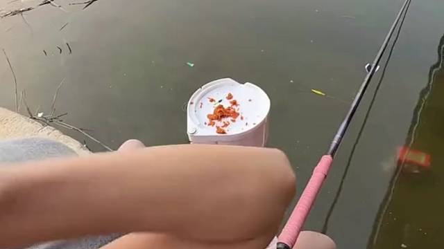 那指甲里是不是藏着饵料呢