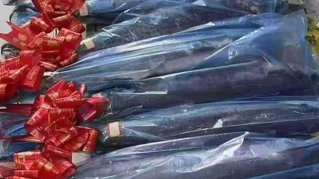 我发布了一个新视频，快来围观吧！