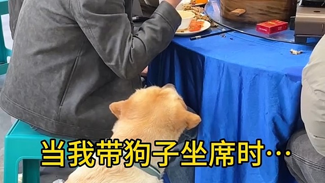 怎么不夹块肉给狗狗呢[捂脸]