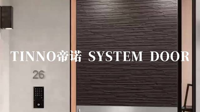 金属点缀，一开门就是满满的高级感#TINNO帝诺系统入户门 #别墅门 #系统门 #上海