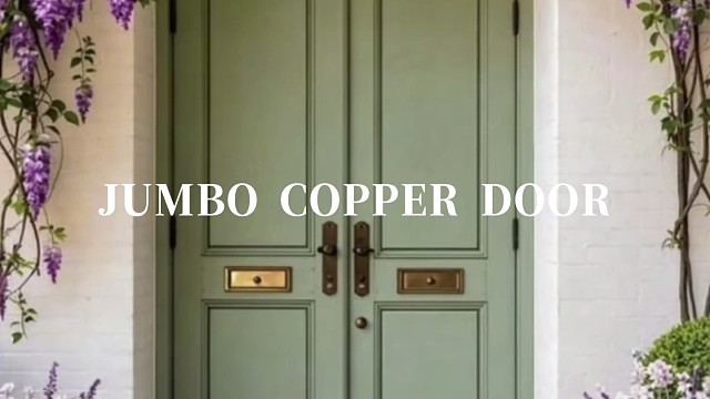 双开门一推连入户都像闯进了法式庄园#中宝天一铜门 #别墅门 #铜门 #上海