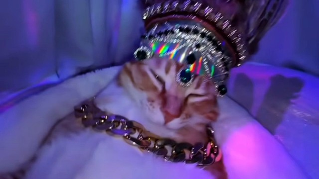 表哥，这就是你在城里的体面工作吗