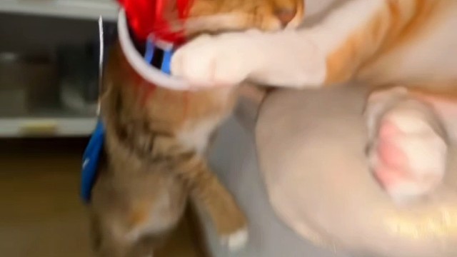 表哥这就是你在城里的体面工作吗