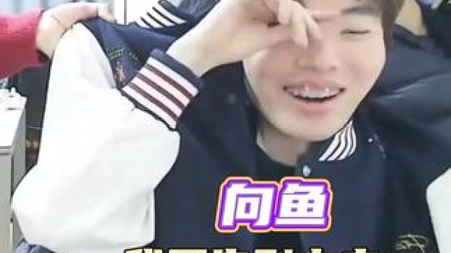 我就这一个向鱼，黄佳乐别给我玩坏了