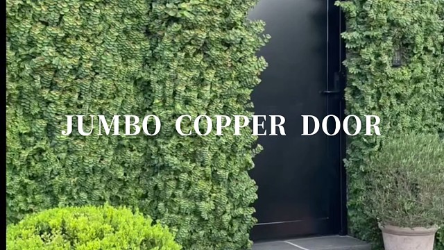 极简纯黑庭院门私家庭院质感入口#中宝天一铜门 #别墅门 #铜门 #上海