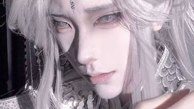 真情像梅花开过