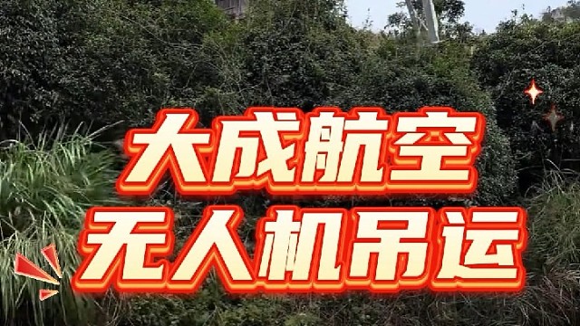 有吊运需求，就找大成航空吊运