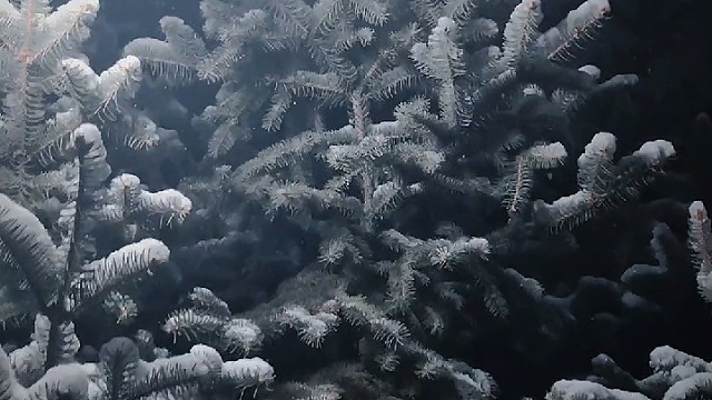 雪花