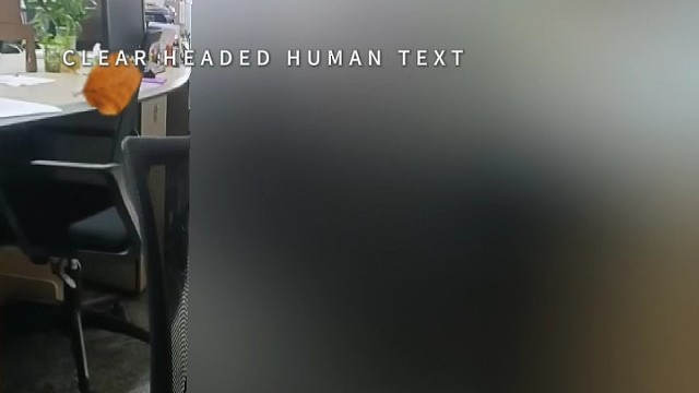 今年上班就到这