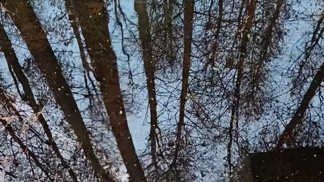 对自己说没关系