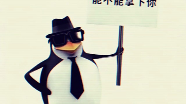 非迷刺猬幼体or成体