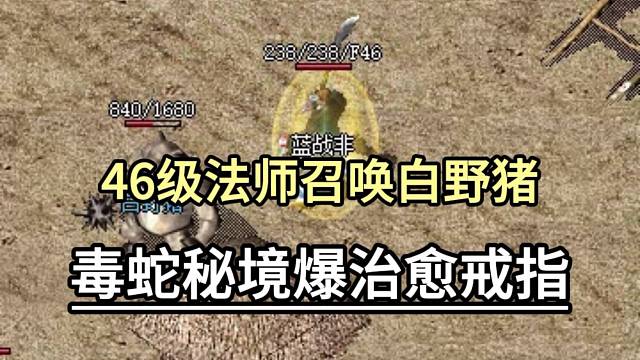46级法师召唤白野猪，毒蛇秘境爆出治愈戒指