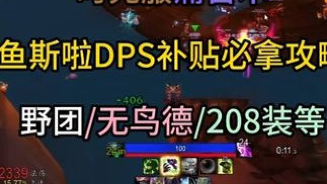 时光服痛苦术鱼斯啦DPS补贴必拿攻略 （野团/无鸟德/208装等） #