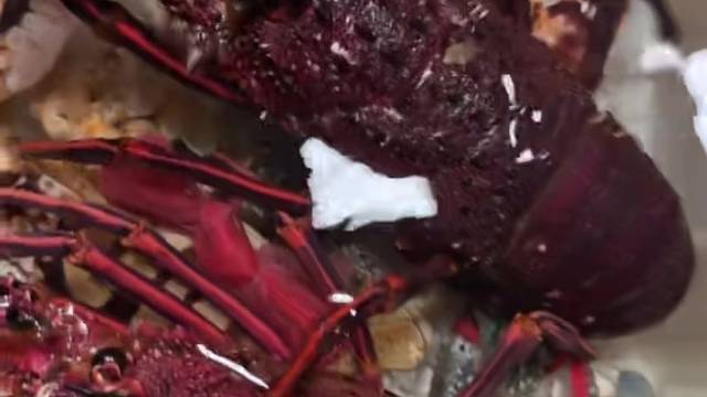 过年期间不涨价，大闸蟹富贵虾随便吃