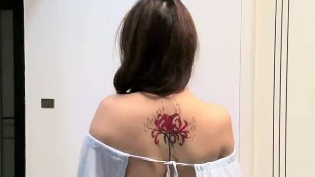 这次不用缔结契约