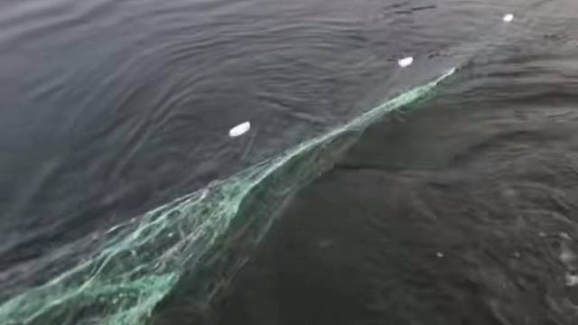 #户外捕鱼大队 #捕鱼河边随拍 #捕捞现场  #丝网捕鱼