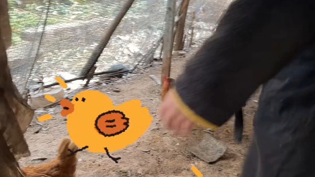 如何和大哥大姐有效的聊天？