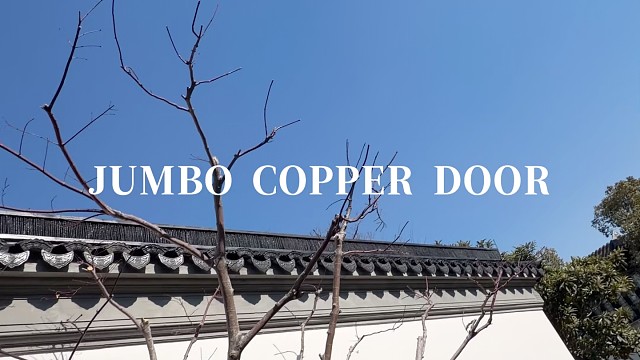 中式别墅专属，四叶草纹铜门，用东方符号定义高阶审美#中宝天一铜门 #别墅门 #铜门 #上海