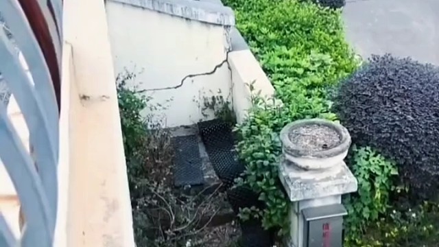 大哥伸手不错啊[捂脸]