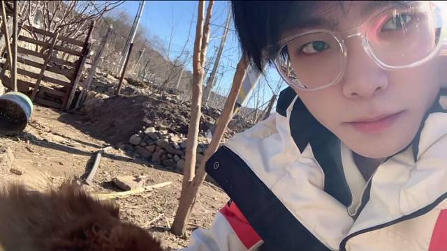 新年和我家小狗的合照