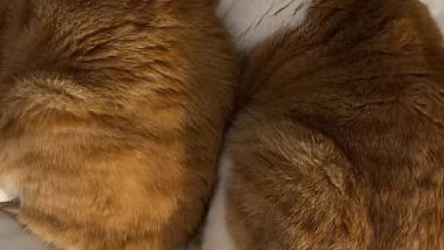 关于我睡眠质量不好这件事！谁家打呼噜咋么大声的？