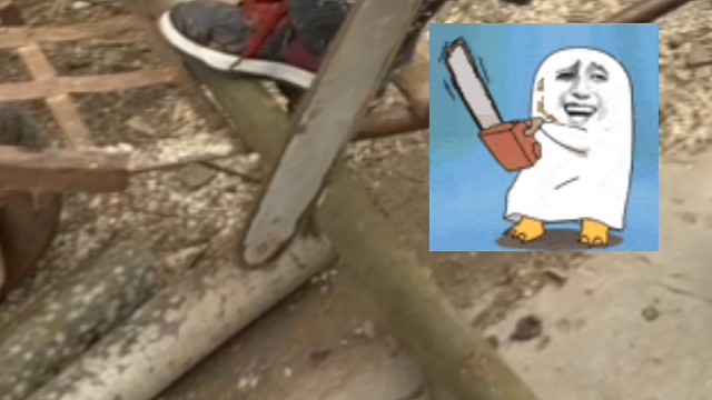 语音厅游客怎么变铁粉？