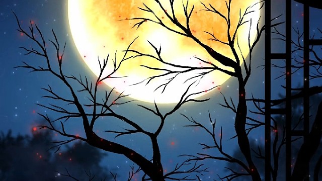 月窗枝影 procreate 超简单绘画过程