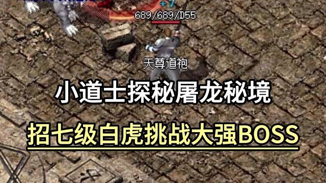小道士探秘屠龙秘境，招七级白虎挑战大强BOSS