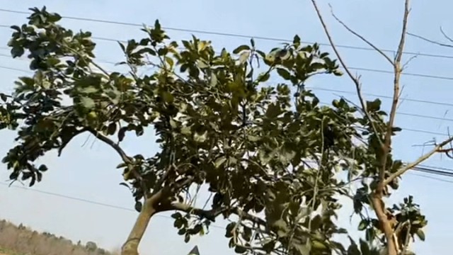 语音厅如何留人？