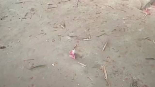 你也喜欢凌晨直播？