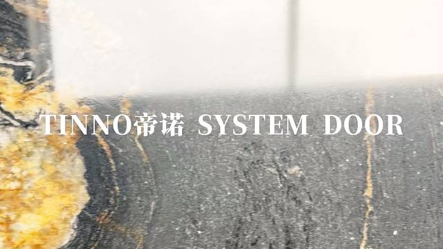 鎏金镜面门适配所有现代顶奢极简风格#TINNO帝诺系统入户门 #别墅门 #系统门 #上海