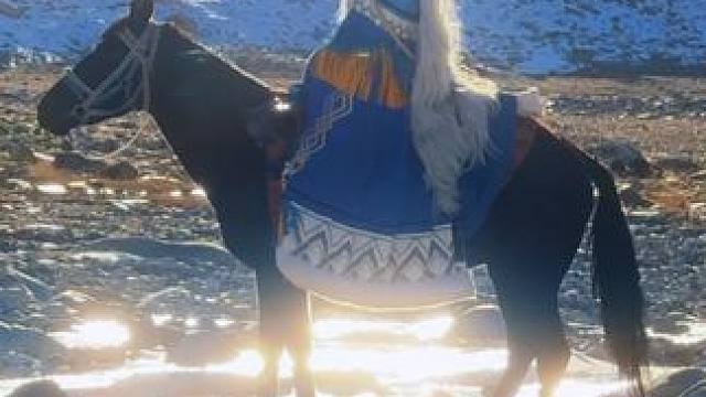 祝大家马上豹富