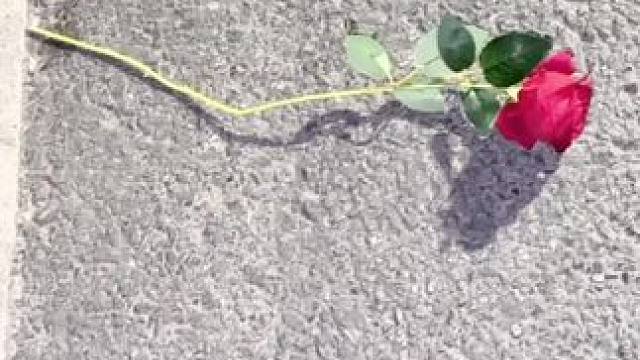 是我还不够好吗