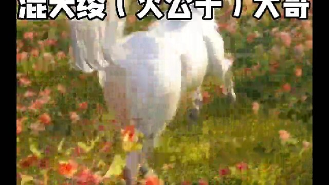 感谢尊贵荣耀的混天绫（火公子）大哥