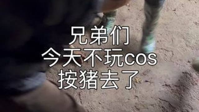 过年杀猪，冬典漫展去不了了兄弟们