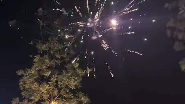 各位粉丝、主播朋友，2026新年快乐