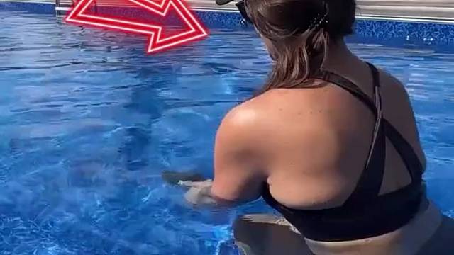 你这种自媒体啊，真的就枪毙算了。