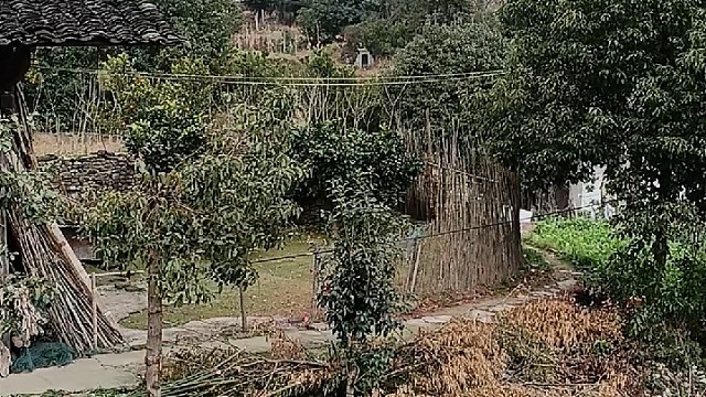 我在山里，你在哪里