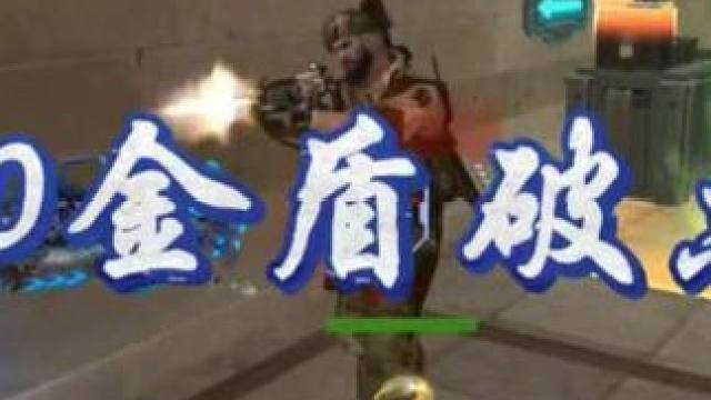 有什么话跟我的金盾说去吧