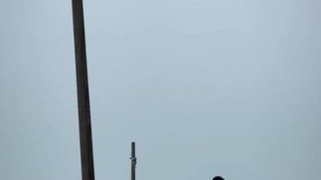 老字号·专注身体开发wave