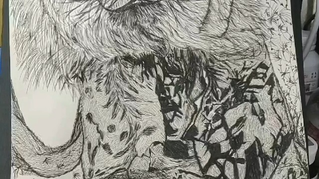 2025年所画的画画合集