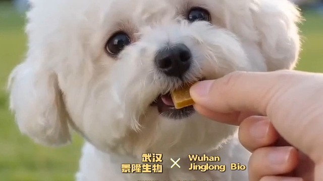 居家旅行必备