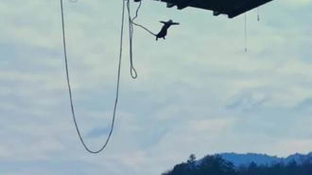 勇敢的人先享受高空